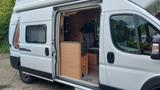 Weinsberg CaraBus 600 MQH - Modelljahr 2021 - Offers