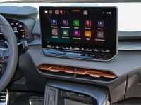 Cupra Terramar - Vorschau Bild 7