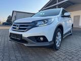 Honda CR-V Executive 4WD 4X4 - Honda CR-V Executive mit Diesel-Antrieb
