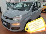 Fiat Panda 1.2 EASY 69cv - Fiat Panda Cabrio Gebrauchtwagen