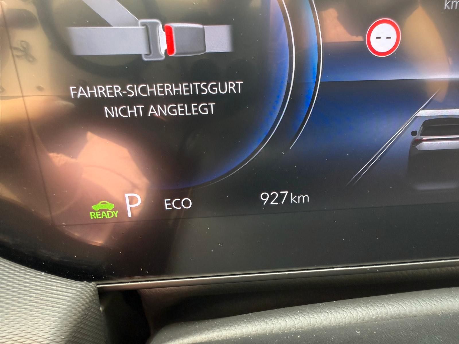 Suzuki e Vitara - Bild 6