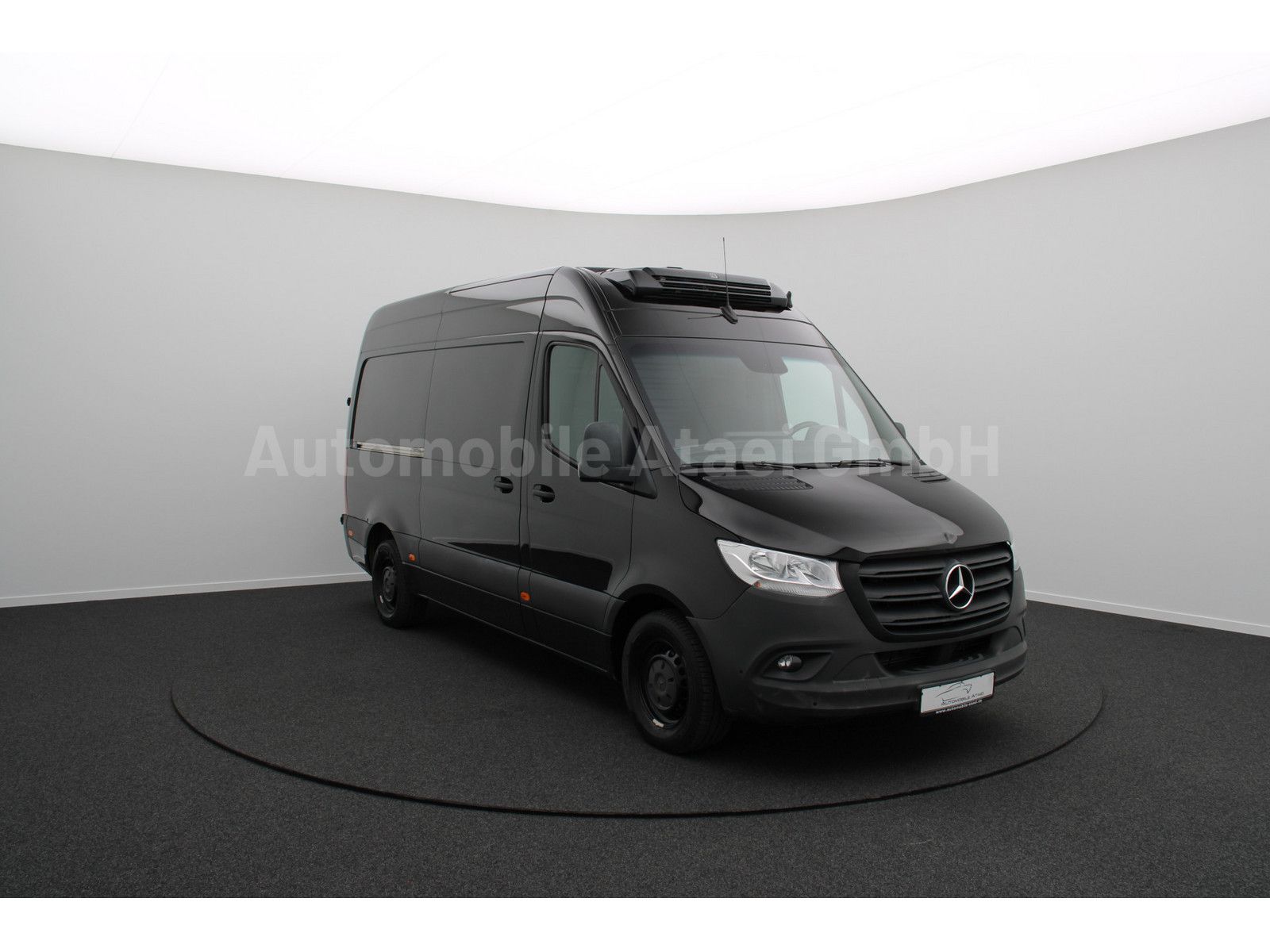 Fahrzeugabbildung Mercedes-Benz Sprinter 316 *ThermoKing -32° Tiefkühl* (9941)