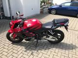 Honda CBR600RR - HONDA 2006 CBR 600 RR