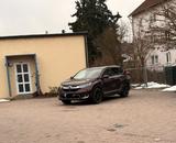 Honda CRV 1.5 Turbo Elegance - Honda: Crv