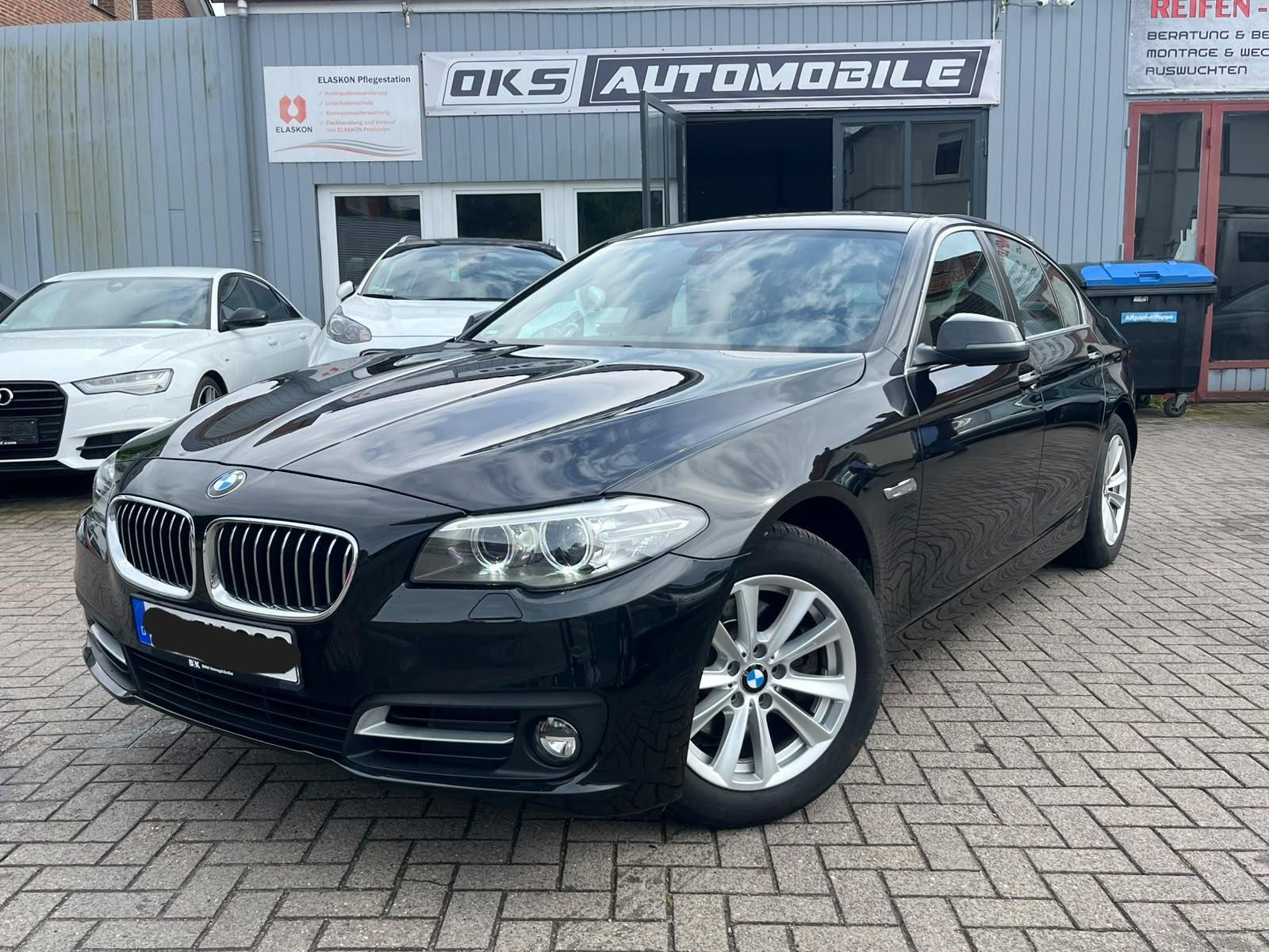 BMW F10 520d Limo. NAVI LEDER SHZG
