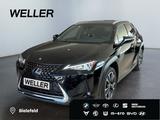 Lexus UX 250h Style Edition *Bi-LED*ACC*CAM*SHZ*CarPla - Lexus UX: Style Edition