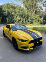 Ford Mustang Coupé V6 US Import - Ford Mustang: I