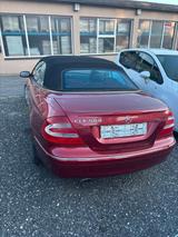 Mercedes-Benz CLK 500 ELEGANCE Elegance - gebrauchte Mercedes-Benz CLK 500 aus dem Jahr 2004