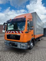 MAN TGL 4x2 /Automatik/ Cam/Sitz-HZ/Klima - Offers matching your search criteria