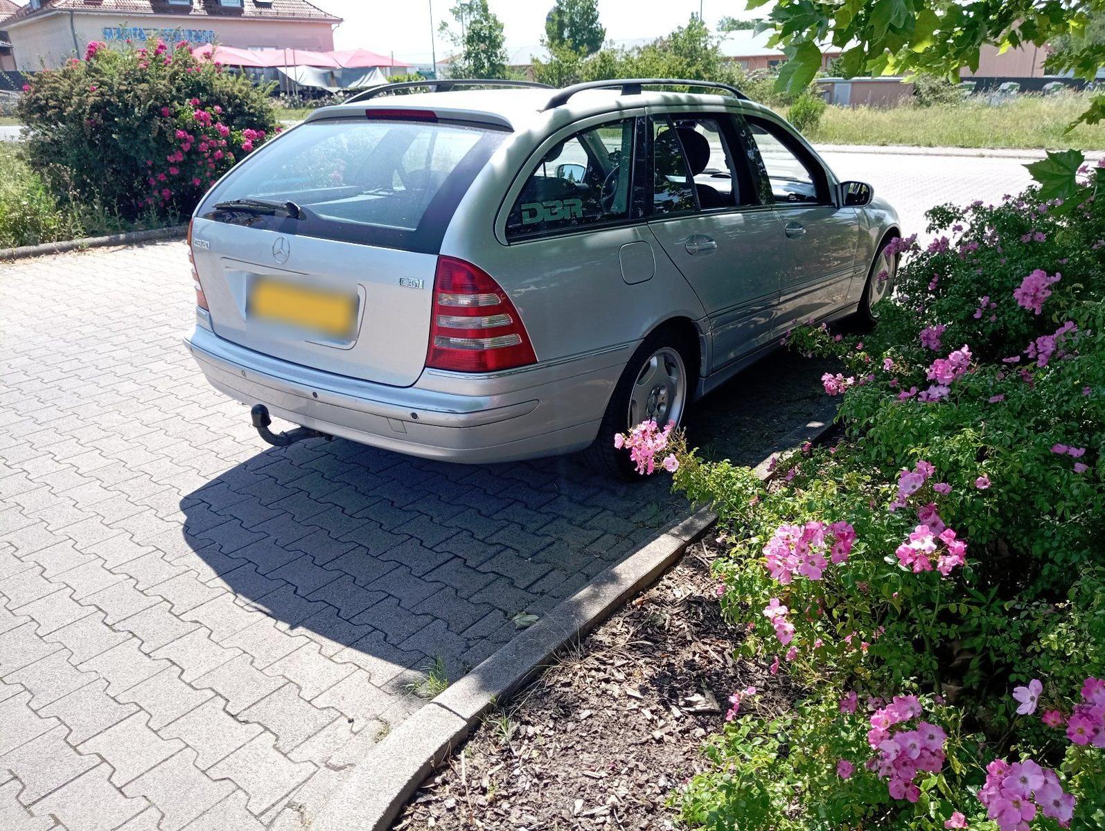 Mercedes-Benz C220 2006 — photo 6