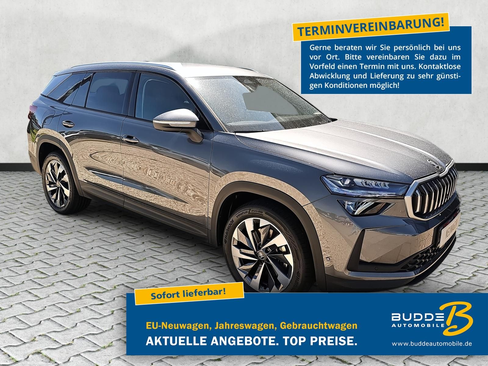 Skoda Kodiaq 2.0 TDI DSG Selection 7Si Matrix AHK 360°