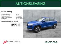 Skoda Karoq - Vorschau Bild 1