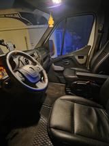 Opel Movano - Pferdetransporter für 2 Pferde - gebrauchte Opel Movano aus dem Jahr 2018