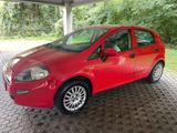 Fiat Punto MYSTYLE - Fiat Punto: Rot
