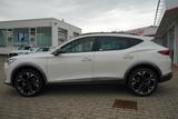 Cupra Formentor 2.0 TSI DSG 4Drive LED ACC Kamera DAB - Cupra Formentor in Erfurt