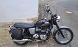 Triumph Bonneville T100 EFI - TRIUMPH T100