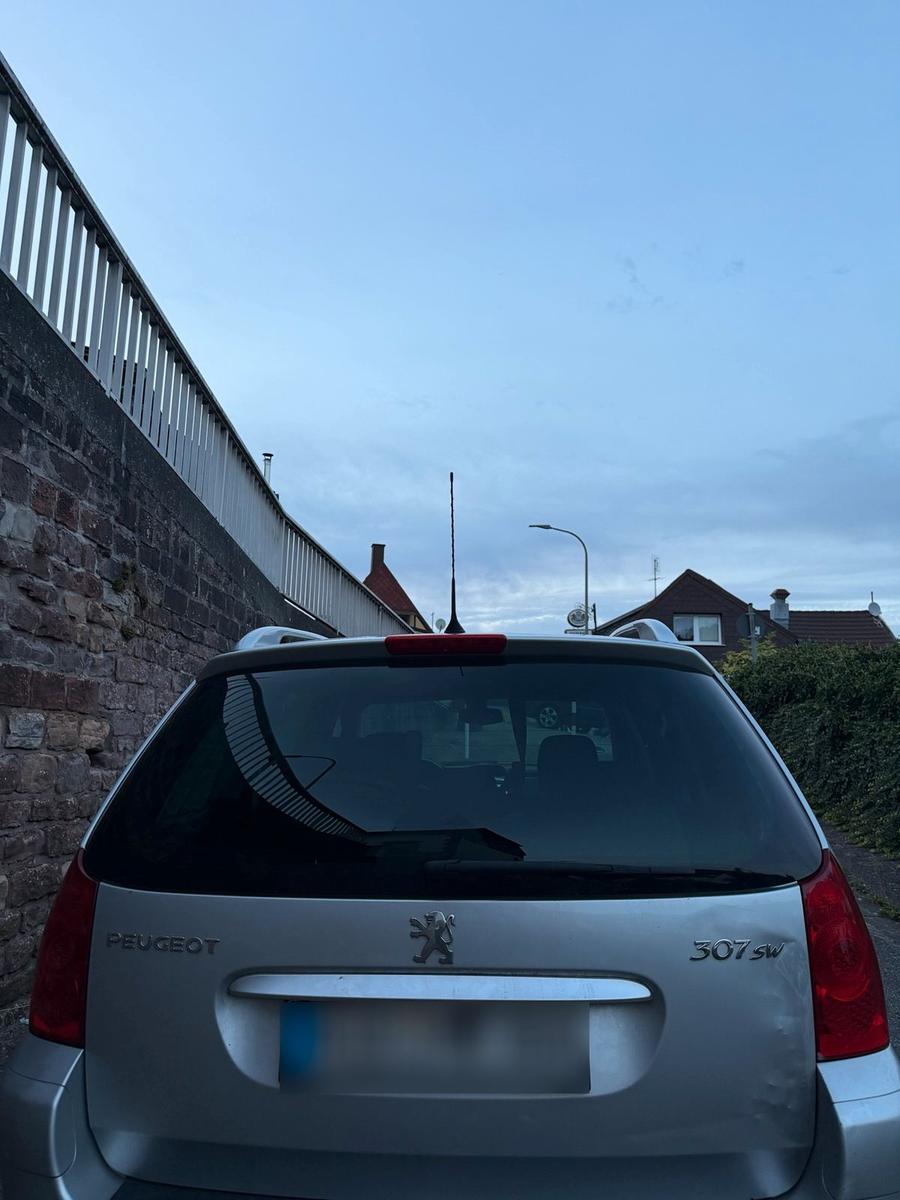 Peugeot 307 2007 — photo 11