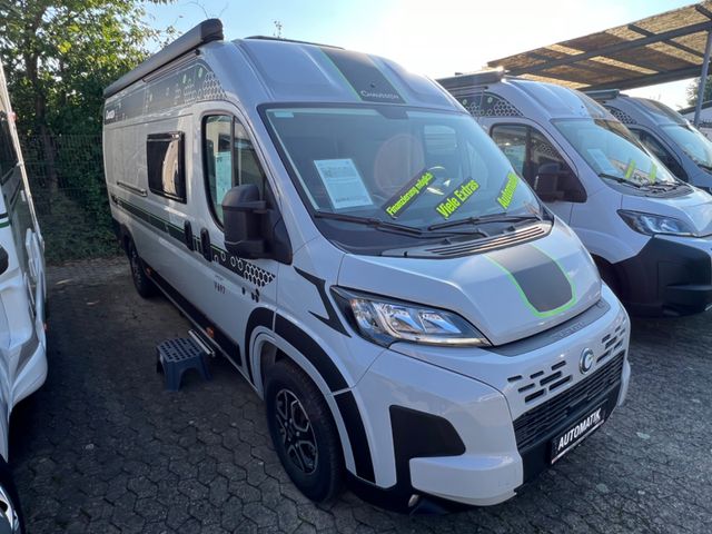 Chausson V697 SPORT-LINE ~ WINTERAKTION MJ`25