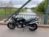 Honda Hornet - HONDA HORNET