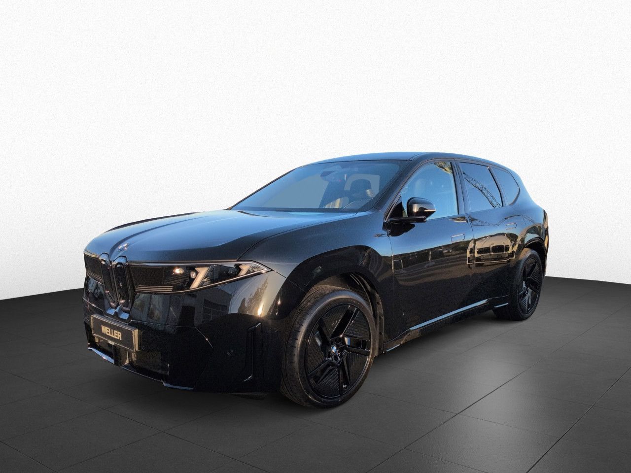 BMW iX3 40 M-Sport DA+ H/K AHK SOFORT imagem 2