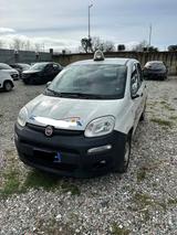 Fiat Panda 1.0 GSE S&S Hybrid Pop Van 2 posti - Fiat Panda POP mit Hybrid-Antrieb (Benzin/Elektro)