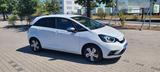 Honda Jazz 1.5 i-MMD Hybrid Executive - Honda Jazz Gebrauchtwagen in Frankfurt