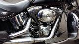Harley-Davidson Haritage Softail - Angebote