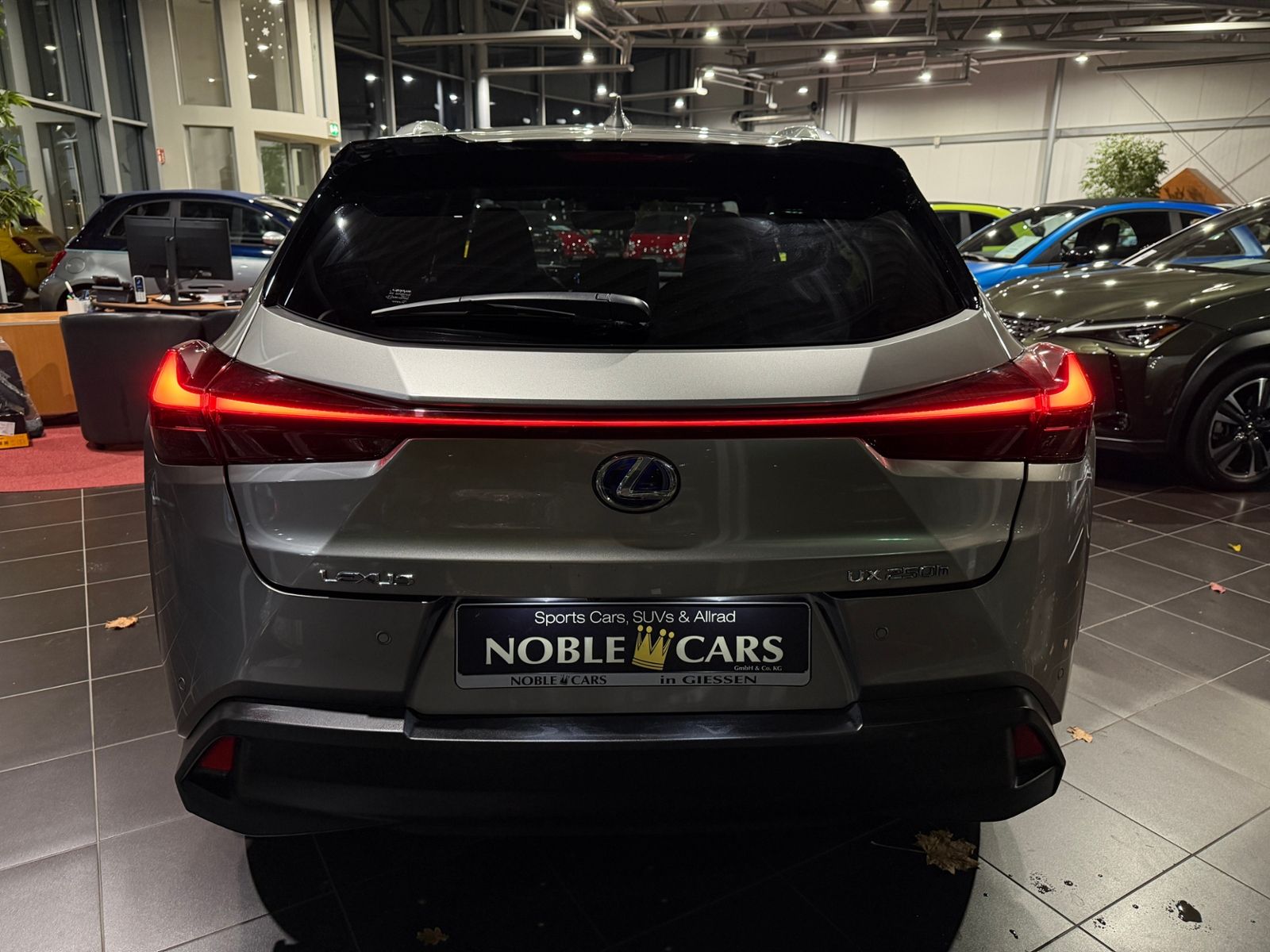 Fahrzeugabbildung Lexus UX 250 h RFK LED ALU 18"