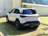 Smart #1 66 kWh PREMIUM Voll inkl. AHK und Garantie - Smart: Geländewagen