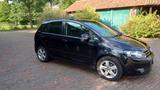 Volkswagen Golf Plus 1.6 TDI DSG Team Automatik - Volkswagen Golf Plus Team mit Diesel-Antrieb