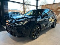 Cupra Terramar - Vorschau Bild 1