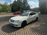 Mercedes-Benz Mercedes CLK 350 V6 / AP Gewindefahrwerk /... - Mercedes-Benz CLK 350: Coupé