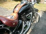 Suzuki Volusia 800 - SUZUKI V 800