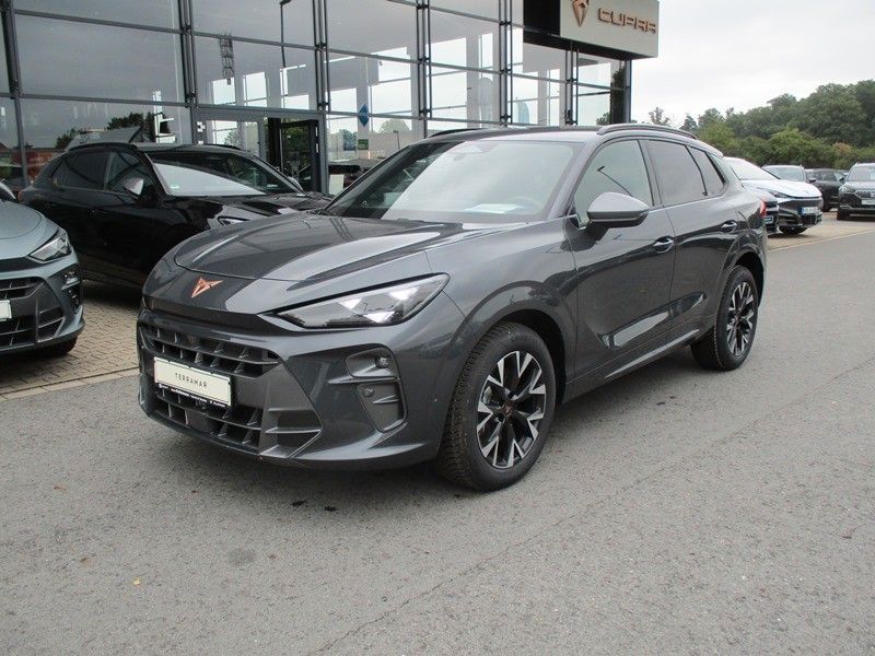 Cupra Terramar 2.0 TSI DSG 4Drive*Navi*LED*AHK*