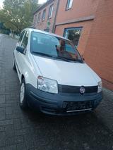 Fiat Panda / mit TÜV und sehr gepflegt - Fiat Panda Gebrauchtwagen in Bremen