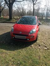 Fiat Punto 1.2 8V YOUNG YOUNG - Fiat Punto: Rot