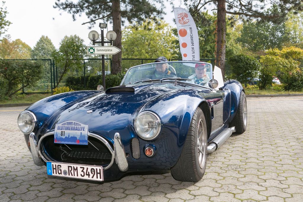Cobra Andere
