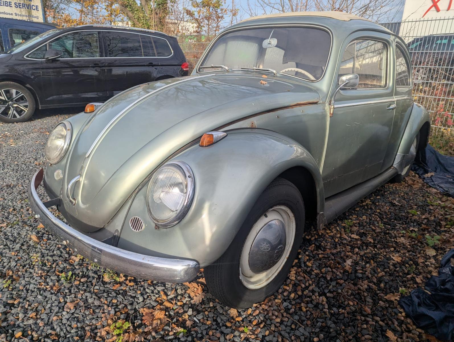 Volkswagen Käfer, Restaurierfahrzeug