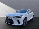 Lexus RX 350 350 h 4x4 Executive Line Panoramadach - Lexus RX 350 Gebrauchtwagen