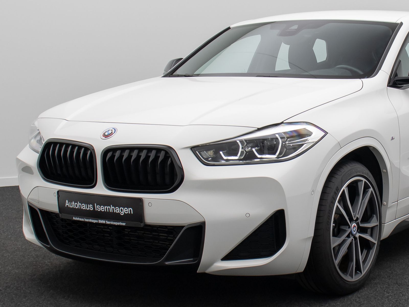 Fahrzeugabbildung BMW X2 sD18d M Sport GeschwindigReg Kamera DAB 19"