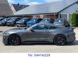 Ford Mustang Shelby GT 500 *1.Hand/Unfallfrei/Recaro* - Ford Mustang: Shelby Gt500