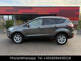 Ford Kuga Titanium AHK*KEYLESS*CARPLAY*SHZ*AMBIENTE - gebrauchte Ford Kuga aus dem Jahr 2019