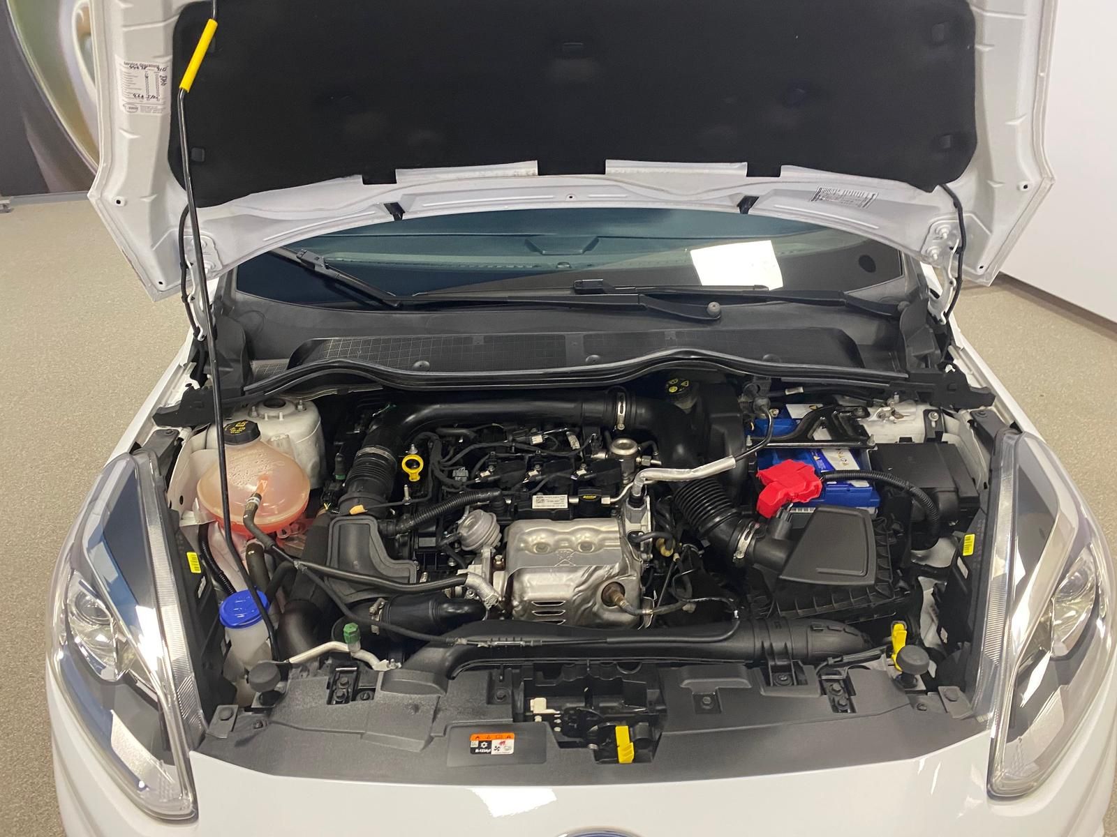 Fahrzeugabbildung Ford Fiesta 1.0 EcoBoost KAT ST-Line APP+KLIMA+RFK+PD