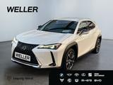 Lexus UX 250h Style Edition *Bi-LED*ACC*Kamera*SHZ*PDC