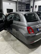 Fiat 500 ELLENATOR Hybrid Dolce Vita - Fiat 500 Ellenator Gebrauchtwagen