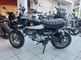 Honda Z125 Monkey - HONDA MONKEY 125