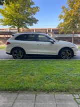 Porsche Cayenne S  - Porsche mit Benzin-Antrieb: Leder