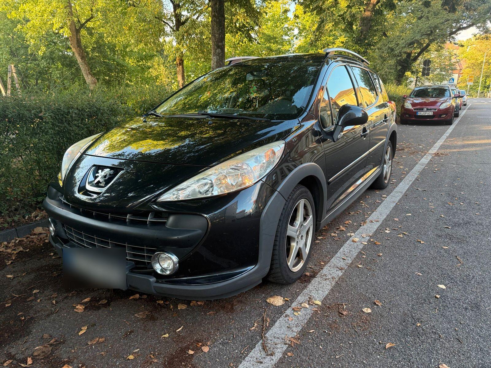 Peugeot 207 2009 — rear view