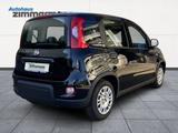 Fiat Panda 1.0 Base Klima PDC Allwetter - Fiat Panda aus 2025