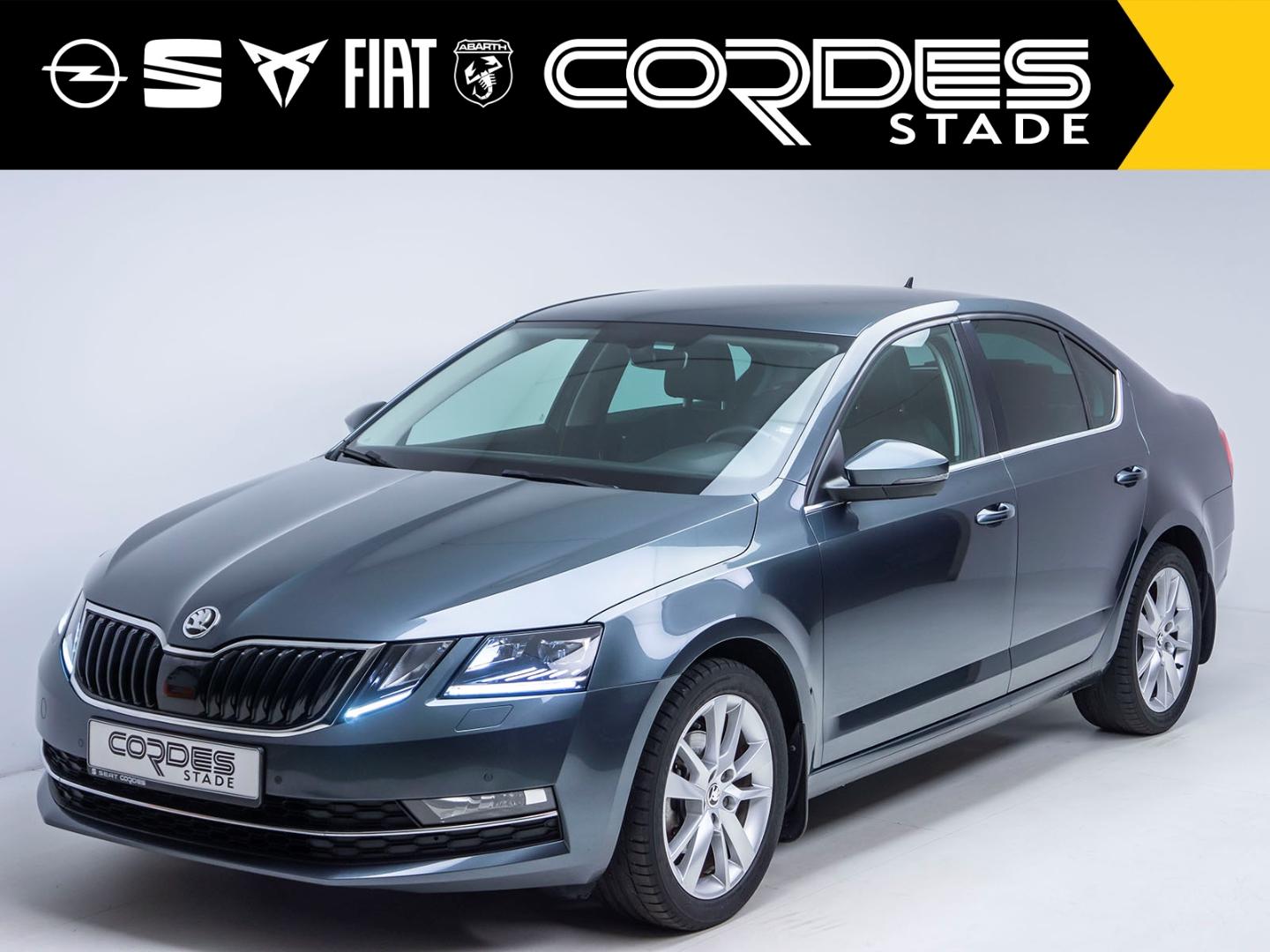 Skoda Octavia Style AUTOMATIK WINTERPAKET NAVI  (GW91)